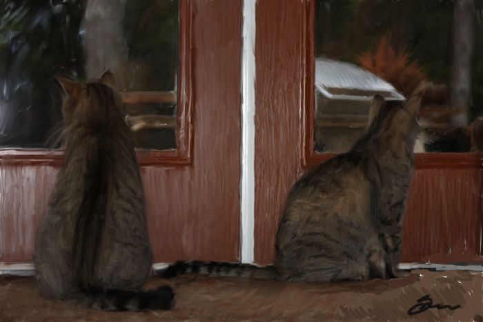 Cats